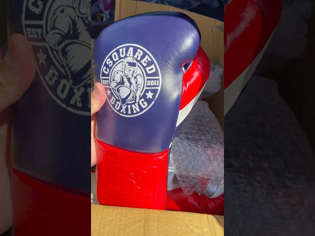 ROF | CSQUAREDBOXING Collab Boxing Gloves