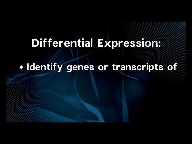 A Walk Through of the Neuromine Visualization Tool