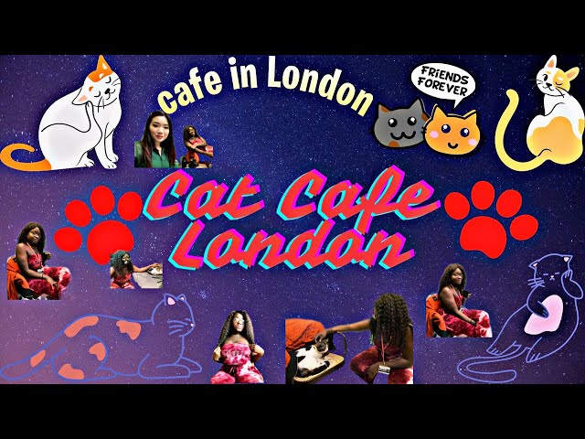Java Whiskers Cat Cafe London