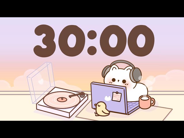 30 Minute Timer 🐱 Study Timer for Classroom Focus