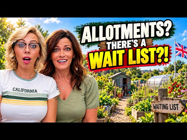 Americans React: British Allotments | What Are They & Are They Popular?