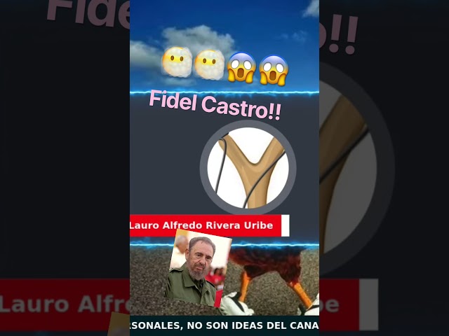 Hablé Con Fidel Castro (Lauro) 🫢🫢