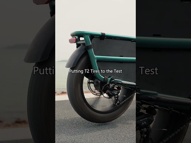 T2 Fat Tires Never Disappoint 😮‍💨🛞#fiido  #ebike  #fattirebike  #fiidoT2 #cargoebike