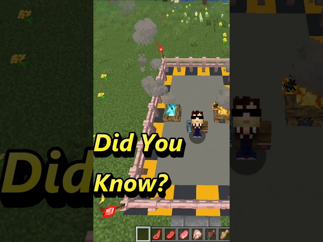 Did You Know You Can Cook Food on Campfires in Minecraft? #minecraft #didyouknow