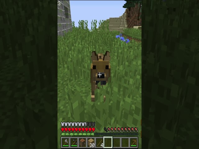 I tried to survive parasites in Minecraft... here's What Happened