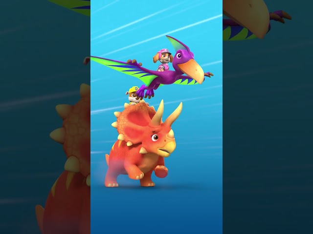 Pups Dino Race Trend! #short
