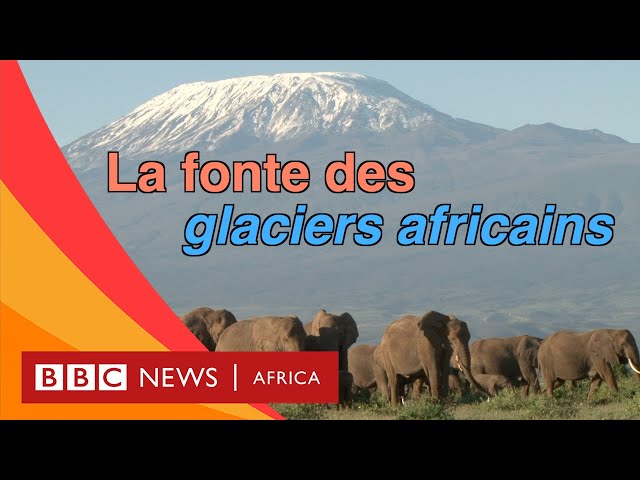 Quelles sont les conséquences de la fonte des glaciers? - BBC Actu Jeunes