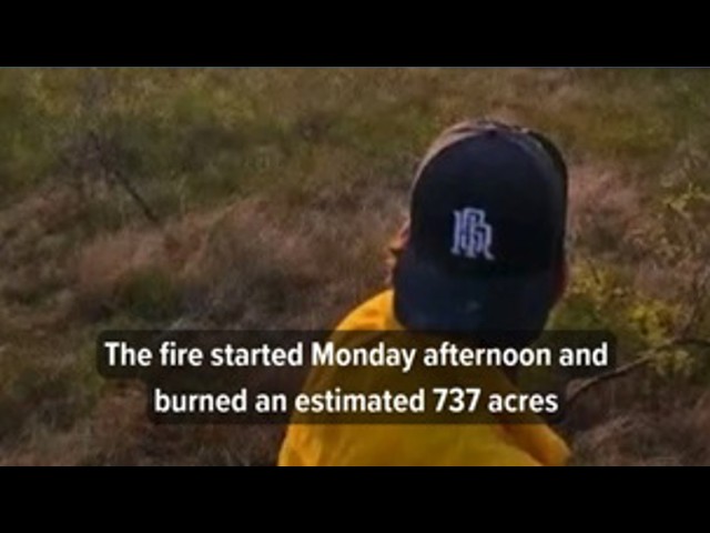 Authorities determine cause of Elm Creek fire in Limestone County