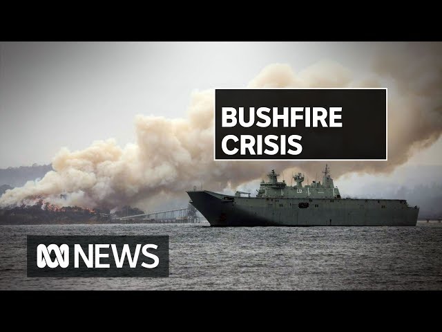 Despite rain, bushfires continue in south coast bushfires | ABC News