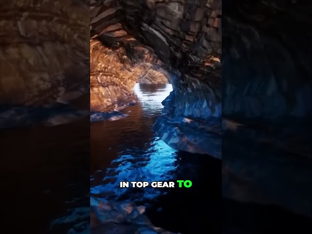 Discovering the Mysterious Creatures of Mel's Hole Warnings from the Ancient Rockflyer