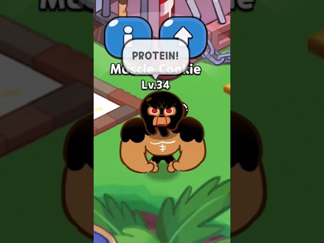 PROTEIN