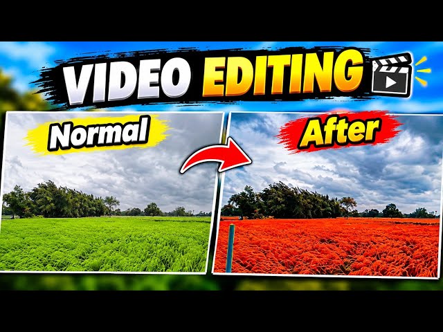 Normal vs After Editing 😱🔥 | Amazing Video Color Grading Transformation 🎬📸 #shorts
