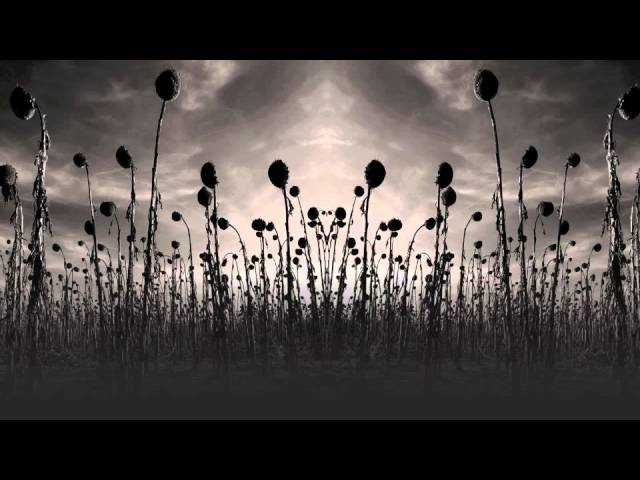Dead Can Dance - 'Anabasis'