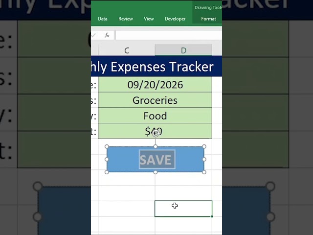 Add a Save Button to an Excel Expense Form | VBA Part 1
