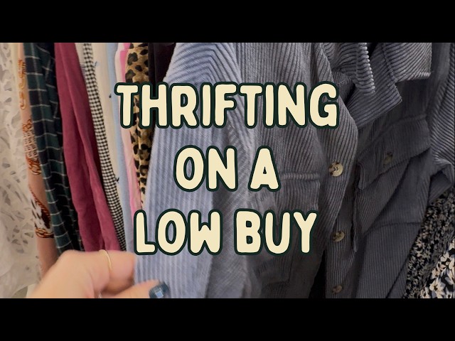 I went to 3 thrift stores on a low buy. Here's how it went