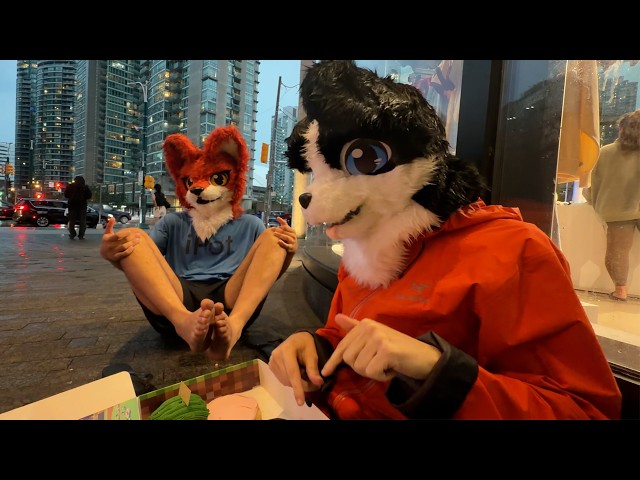 The Video with No Plan