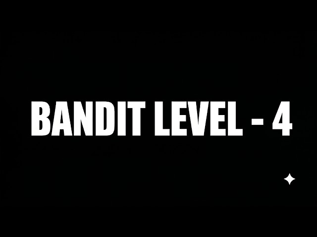 Bandit Level 4 (OverTheWire): One Real File Among Nine Fakes