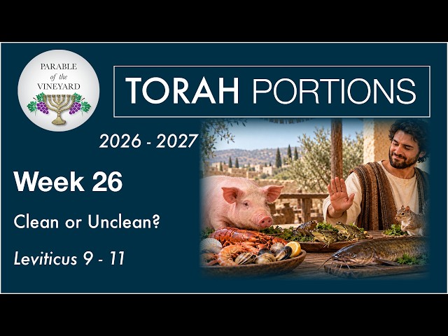 Torah Portion Week 26 - Leviticus 9 - 11 (Holy or Unholy? - Clean or Unclean?)  2026 - 2027