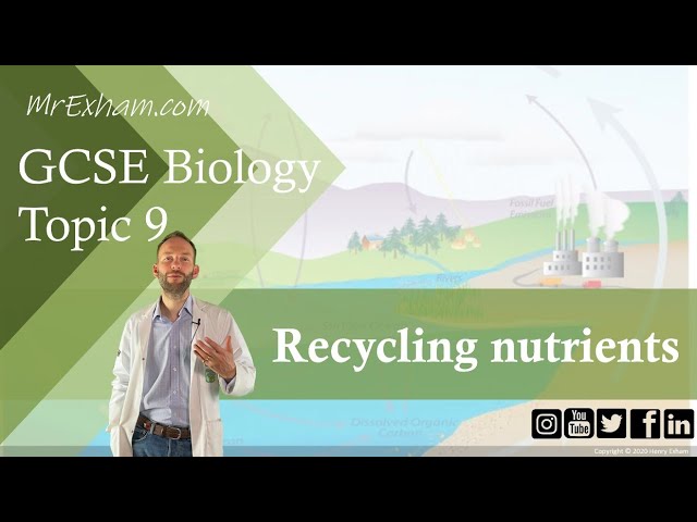 Recycling Nutrients - GCSE Biology (9-1) 9.12