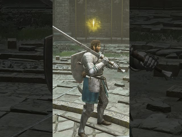 Bro was AFK, so I waited for him to come back    #eldenringpvp #eldenringclips #thankyoudarksouls