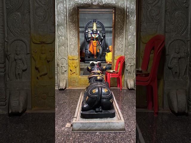 శ్రీ వీరభద్ర స్వామి టెంపుల్, పెద్దవడుగూరు #god #veerabhadraswami #shiva #viral #temple