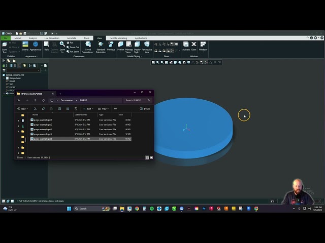 Creo: How to Use the Purge Command