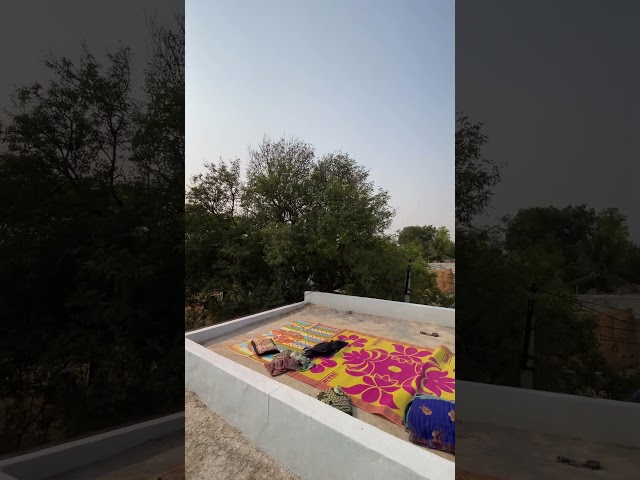 Weekend village morning #weekend #village #trending #sleep #morning