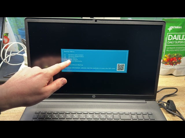 How to boot and use BIOS Setup utility HP Laptop DIY