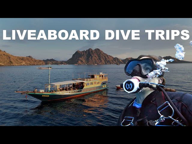 Your complete guide to liveaboard diving