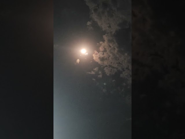 Live highlight