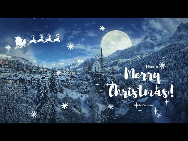 have a merry christmas❤️❤️❤️ ___ bluebace.com