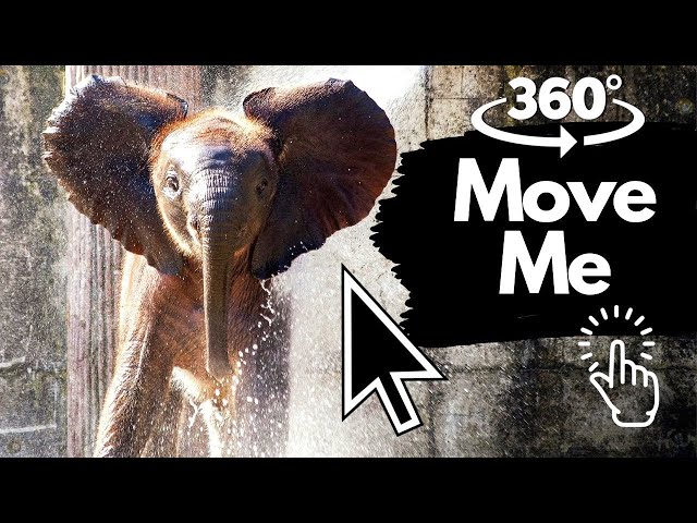 Interactive 360 Virtual Reality Video