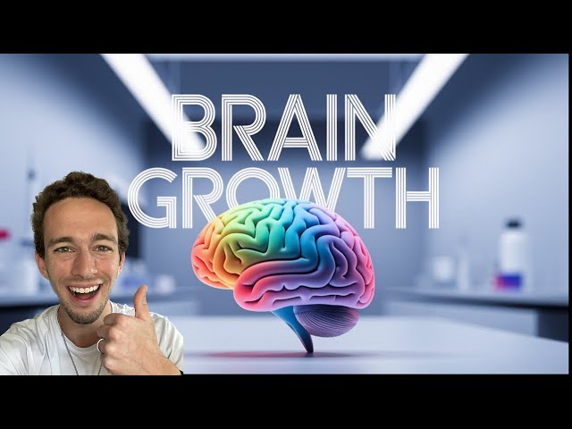 Brain - Development & Anatomy - Made Easy!