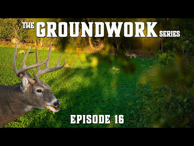 HOW To Hunt Whitetails in October | Groundwork Ep. 16