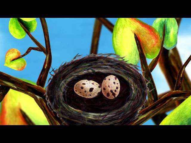 Learn the ABCs in Lower-Case: "n" is for newt and nest