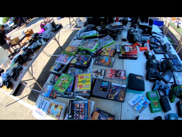 Video Game Hunting 011