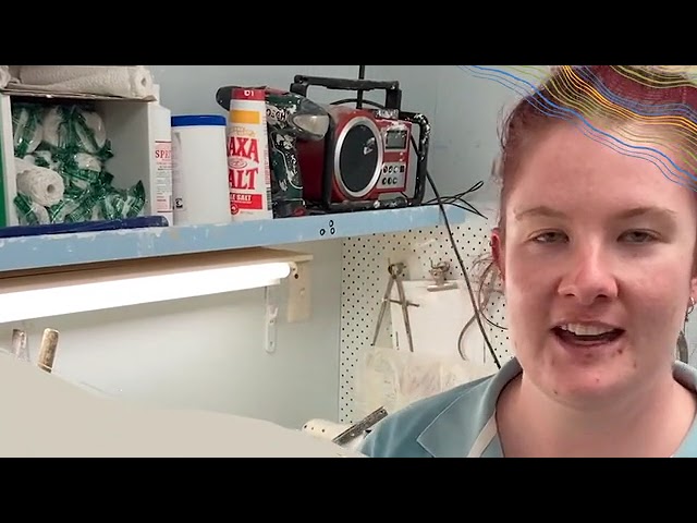 A career as an orthotist/ prosthetist in rural South Australia