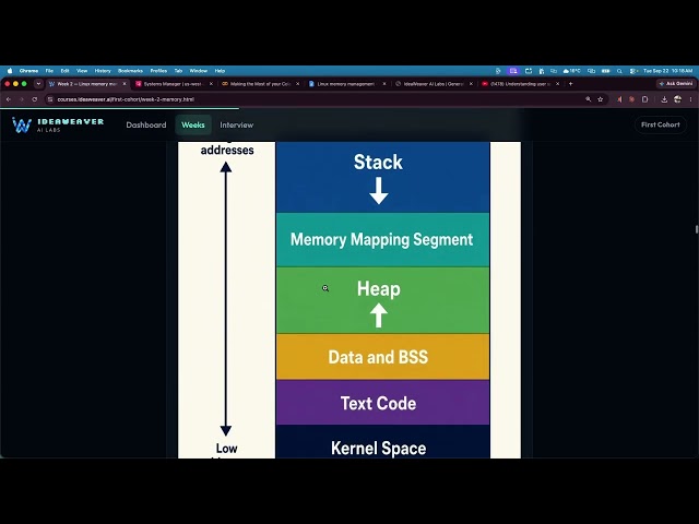 Linux memory management in the age of GenAI