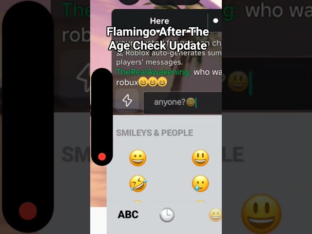 Flamingo After The Update💀 #roblox #newupdateinrobloxbedwars #bloxfruits #bedwarsrobloxfunny
