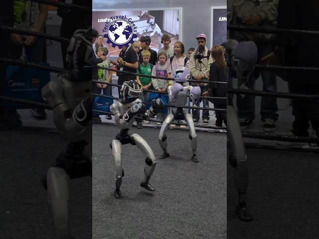 Robots of IFA Berlin 2026: Unitree #robots #ifa2026 #shorts