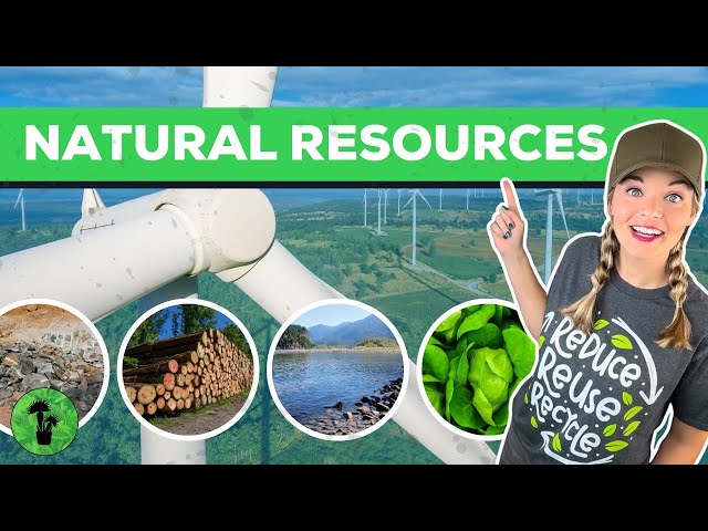 Natural Resources | Renewable & Nonrenewable Resources