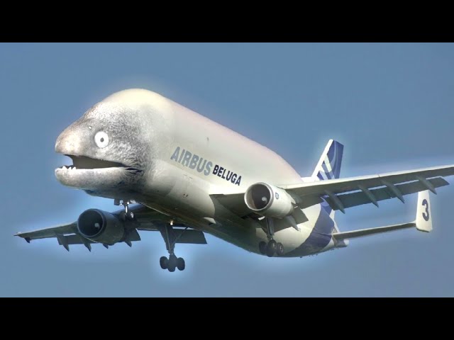 321 GO Meme Aviation Edition pt.5