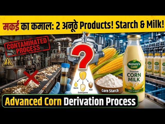 The Secret Behind Perfect Corn Milk: Inside the Industrial Processing Plant #factoryprocess