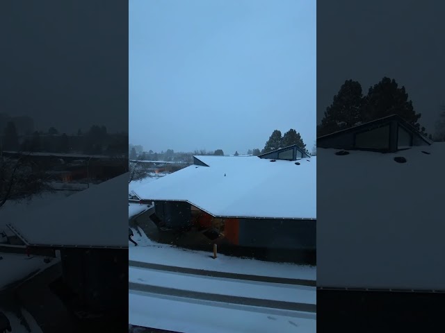 Student Life in Canada 🇨🇦 | Snowy Day on Campus #kamloops #britishcolumbia #shorts  #snow