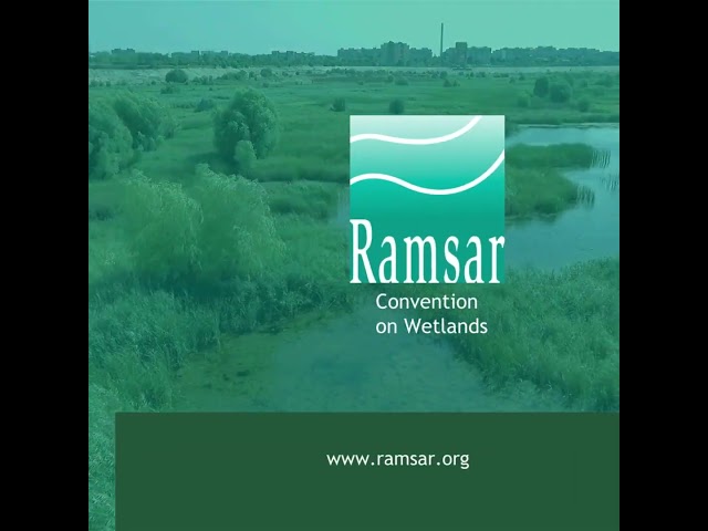 Protecting wetlands is crucial for achieving #SDG15 Life on Land.🌱