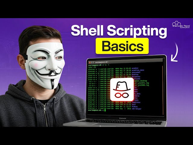 Intro to Shell Programming | Easy Tutorial for Absolute Beginners
