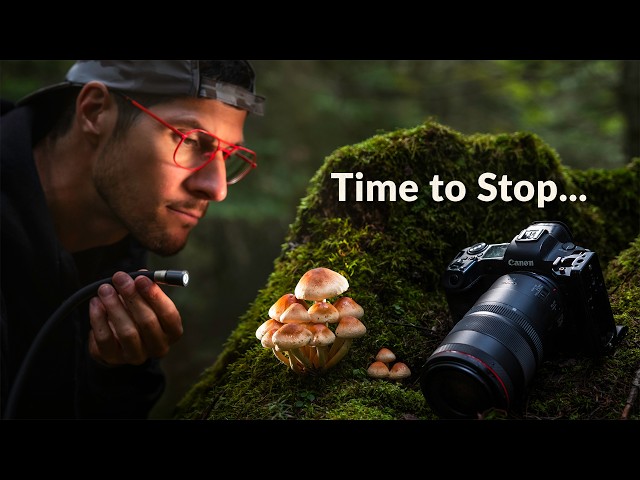 Knowing When to Stop | Macro Photography