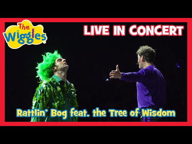 Rattlin' Bog feat. the Tree of Wisdom (Live in Concert)🌳 The Wiggles 🎶 Wiggly Big Day Out
