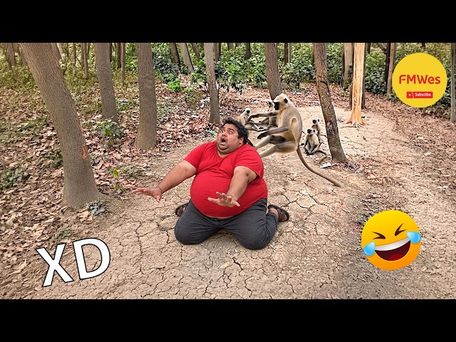 Funny Videos 🤣 If You Laugh You Lose GOD LEVEL #845 😎 Mexican Viral Humor 🤣