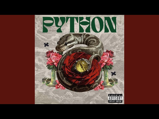 Python